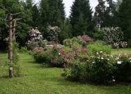 Villa Giustiniani – Fotogallery il Roseto – 25